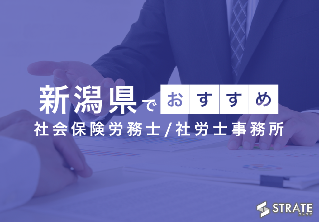 社会保険労務士・社労士通信講2017年試験対策（基礎+過去問講座+直前 